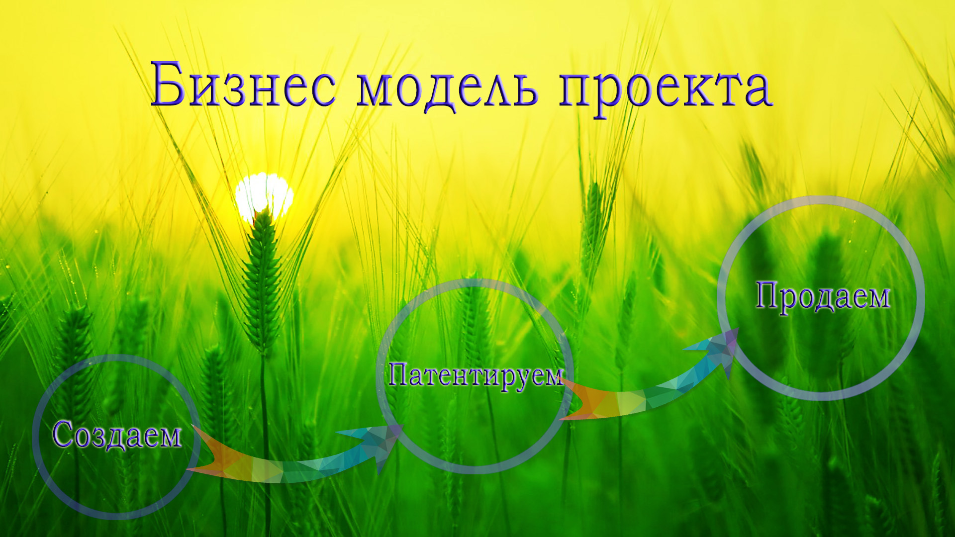 Бизнес модель проекта
